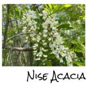 ヒメ日記 2025/05/15 05:14 投稿 さわ 山梨デリヘル 人妻物語 ～極～