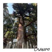 ヒメ日記 2025/06/04 13:45 投稿 さわ 山梨デリヘル 人妻物語 ～極～