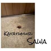 ヒメ日記 2025/06/05 15:15 投稿 さわ 山梨デリヘル 人妻物語 ～極～