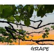 ヒメ日記 2025/06/11 12:58 投稿 さわ 山梨デリヘル 人妻物語 ～極～