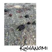 ヒメ日記 2025/06/13 10:20 投稿 さわ 山梨デリヘル 人妻物語 ～極～