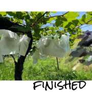 ヒメ日記 2025/07/02 08:34 投稿 さわ 山梨デリヘル 人妻物語 ～極～