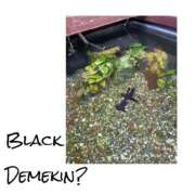 ヒメ日記 2025/07/07 17:45 投稿 さわ 山梨デリヘル 人妻物語 ～極～