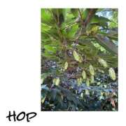 ヒメ日記 2025/07/20 09:45 投稿 さわ 山梨デリヘル 人妻物語 ～極～