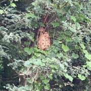 ヒメ日記 2025/09/22 12:32 投稿 さわ 山梨デリヘル 人妻物語 ～極～
