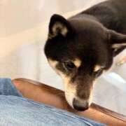 ヒメ日記 2026/03/02 09:46 投稿 さわ 山梨デリヘル 人妻物語 ～極～