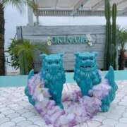 ヒメ日記 2025/05/20 00:20 投稿 ゆずは ラブライフ越谷