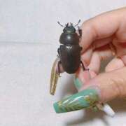 ヒメ日記 2025/08/21 18:24 投稿 ゆずは ラブライフ越谷