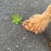 ヒメ日記 2025/10/30 23:14 投稿 ゆずは ラブライフ所沢川越