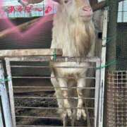 ヒメ日記 2025/02/20 19:51 投稿 ゆずは ラブライフ大宮岩槻店