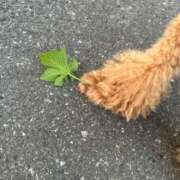 ヒメ日記 2025/07/11 20:38 投稿 ゆずは ラブライフさいたま