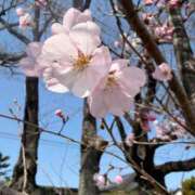 ヒメ日記 2026/03/27 20:49 投稿 ゆずは ラブライフさいたま