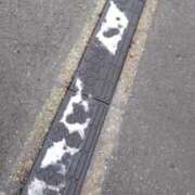 ヒメ日記 2025/03/05 10:02 投稿 もな 風鈴（ふうりん）