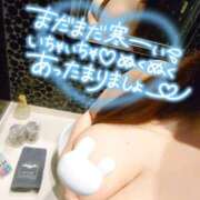 ヒメ日記 2025/03/29 09:50 投稿 もな 風鈴（ふうりん）