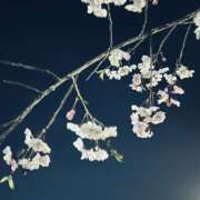 ヒメ日記 2025/04/13 13:00 投稿 あみ【梅田堂山女学院】 梅田堂山女学院