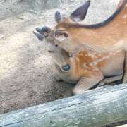 ヒメ日記 2025/06/04 08:01 投稿 あみ【梅田堂山女学院】 梅田堂山女学院