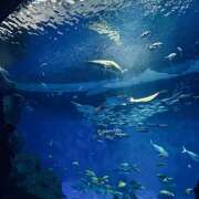 ヒメ日記 2025/10/01 08:00 投稿 あみ【梅田堂山女学院】 梅田堂山女学院