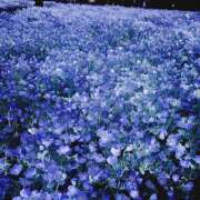 ヒメ日記 2026/04/22 08:00 投稿 あみ【梅田堂山女学院】 梅田堂山女学院