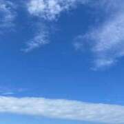 ヒメ日記 2025/11/20 12:25 投稿 ミホ キャンディ(鹿児島)