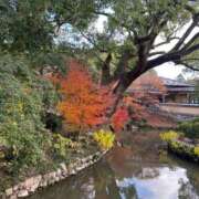 ヒメ日記 2025/12/28 02:20 投稿 ミホ キャンディ(鹿児島)