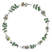 ヒメ日記 2025/07/05 15:06 投稿 ちひろ clubさくら梅田店