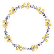 ヒメ日記 2025/07/08 12:04 投稿 ちひろ clubさくら梅田店