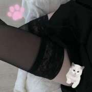 ヒメ日記 2025/12/03 17:01 投稿 柊れのあ アロマピュアン新橋（シンデレラグループ）