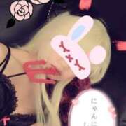 ヒメ日記 2025/05/07 21:24 投稿 あいか チューリップ福井別館