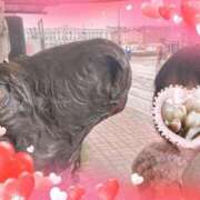 ヒメ日記 2025/07/08 07:44 投稿 あいか チューリップ福井別館