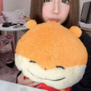 ヒメ日記 2025/01/26 08:14 投稿 ありな チューリップ福井別館