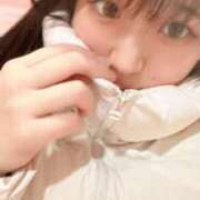 ヒメ日記 2024/12/22 14:22 投稿 あんず チューリップ福井別館