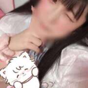 ヒメ日記 2024/12/23 00:36 投稿 あんず チューリップ福井別館