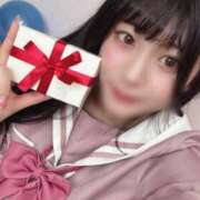 ヒメ日記 2025/06/14 01:04 投稿 あんず チューリップ福井別館