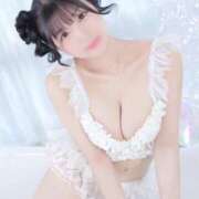 ヒメ日記 2025/07/14 17:44 投稿 あんず チューリップ福井別館