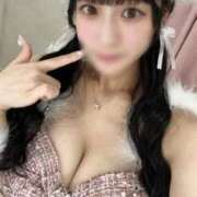 ヒメ日記 2025/11/02 01:04 投稿 あんず チューリップ福井別館