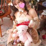 ヒメ日記 2024/12/12 13:24 投稿 きい チューリップ福井別館