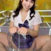 ヒメ日記 2025/02/09 11:08 投稿 きい チューリップ福井別館