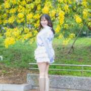 ヒメ日記 2025/03/14 21:34 投稿 きい チューリップ福井別館