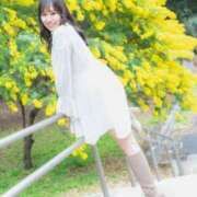 ヒメ日記 2025/03/15 15:05 投稿 きい チューリップ福井別館