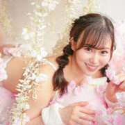 ヒメ日記 2025/04/15 21:36 投稿 きい チューリップ福井別館