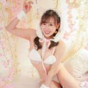 ヒメ日記 2025/04/18 15:06 投稿 きい チューリップ福井別館