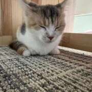 ヒメ日記 2025/01/14 13:24 投稿 ことね チューリップ福井別館