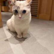 ヒメ日記 2025/02/02 09:14 投稿 ことね チューリップ福井別館