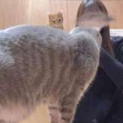 ヒメ日記 2025/02/28 00:04 投稿 ことね チューリップ福井別館