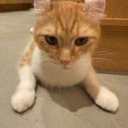 ヒメ日記 2025/03/01 06:04 投稿 ことね チューリップ福井別館