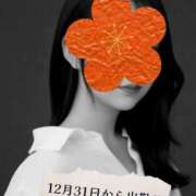 ヒメ日記 2024/12/27 12:46 投稿 さな チューリップ福井別館