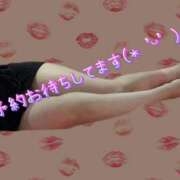 ヒメ日記 2024/12/31 15:14 投稿 さな チューリップ福井別館