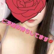 ヒメ日記 2025/01/05 17:56 投稿 さな チューリップ福井別館