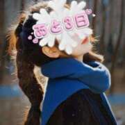 ヒメ日記 2025/01/09 09:34 投稿 さな チューリップ福井別館