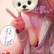 ヒメ日記 2025/02/18 09:34 投稿 さな チューリップ福井別館